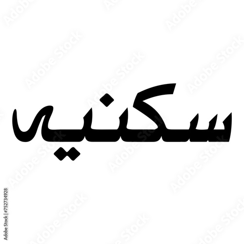 Wallpaper Mural Sukniyyah Muslim Girls Name Naskh Font Arabic Calligraphy Torontodigital.ca