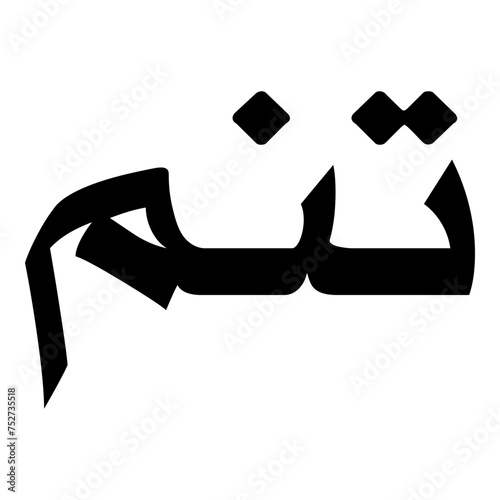 Taneem Muslim Girls Name Naskh Font Arabic Calligraphy photo