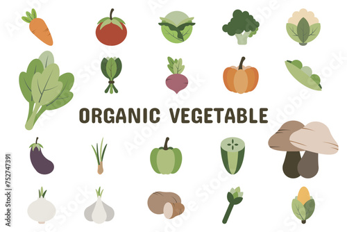 Organic Vegetable Flat Vector Illustration Icon Sticker Set Design Materials