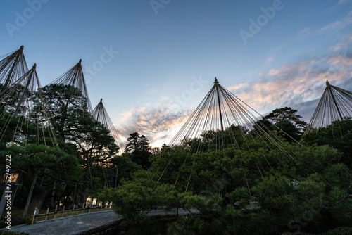 夕暮れ迫る晩秋の兼六園・唐崎松