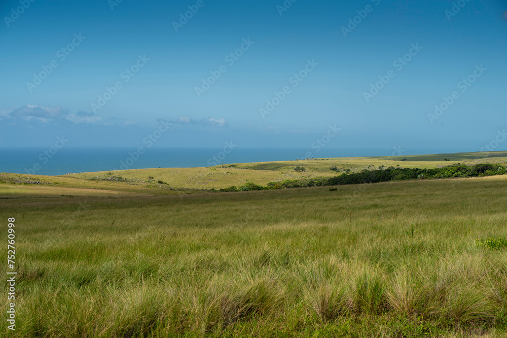 The Wild Coast, known also as the Transkei, open veld, fields of grassland and steamy jungle or coastal forests. The rugged and unspoiled Coastline and grasslands and African veld grazing for Nguni ca