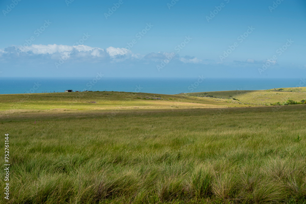 The Wild Coast, known also as the Transkei, open veld, fields of grassland and steamy jungle or coastal forests. The rugged and unspoiled Coastline and grasslands and African veld grazing for Nguni ca