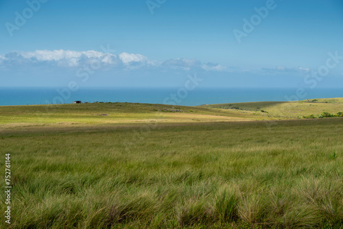 The Wild Coast, known also as the Transkei, open veld, fields of grassland and steamy jungle or coastal forests. The rugged and unspoiled Coastline and grasslands and African veld grazing for Nguni ca © Colin Stephenson
