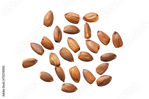Close up of nuts isolated on transparent png background, types of nuts concept, popular nutrients and high protein snack, essential fiber and healthy fats.