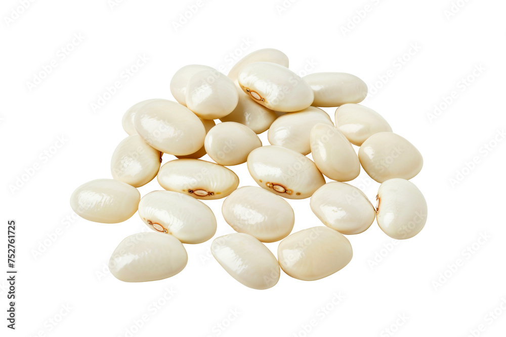 Close up of nuts isolated on transparent png background, types of nuts concept, popular nutrients and high protein snack, essential fiber and healthy fats. Close up of nuts isolated on transparent png background, types of nuts concept, popular nutrients and high protein snack, essential fiber and healthy fats.