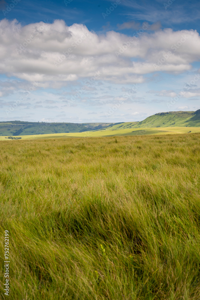 The Wild Coast, known also as the Transkei, open veld, fields of grassland and steamy jungle or coastal forests. The rugged and unspoiled Coastline and grasslands and African veld grazing for Nguni ca