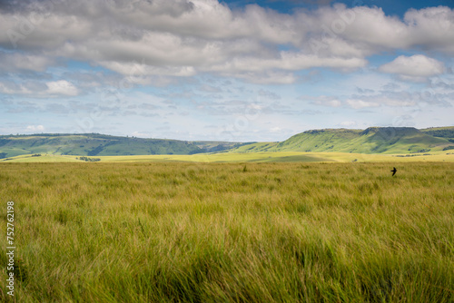 The Wild Coast  known also as the Transkei  open veld  fields of grassland and steamy jungle or coastal forests. The rugged and unspoiled Coastline and grasslands and African veld grazing for Nguni ca