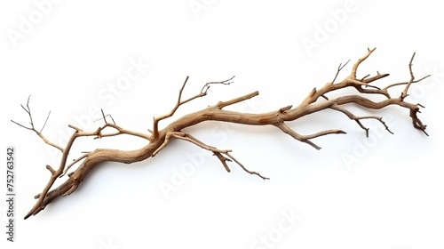 Nature's Elegance: Dry Tree Twig and Branch with Knots Isolated on White