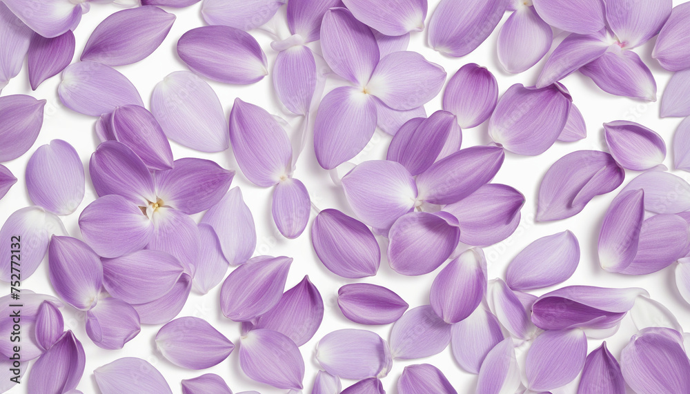 elegant collection of soft purple flower petals isolated on a white background