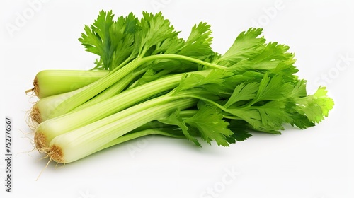 Crisp Celery Set: No Background with White Background