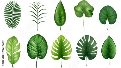 Tropical Greens  Set of Palm Leaves Collection with Green Leaves Pattern
