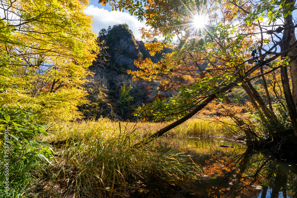 紅葉真っ盛りの医王山県立自然公園・鳶岩