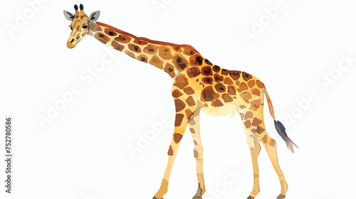Animal Illustration Giraffe. Watercolor isolated © Vector