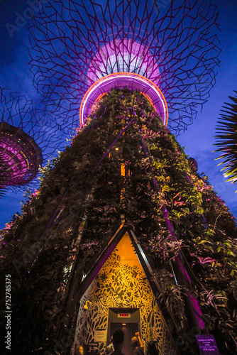 Lights in Gardens by the Bay in Singapore. photo