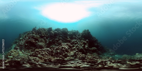 Underwater world life with hard coral reefs and fish. 360-Degree view.