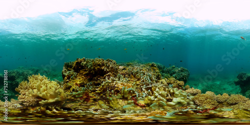 Fototapeta Naklejka Na Ścianę i Meble -  Coral reef and fish underwater. Marine protected area. Monoscopic image.