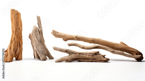 Coastal Treasures: Various Textured Pieces of Driftwood on White Background photo