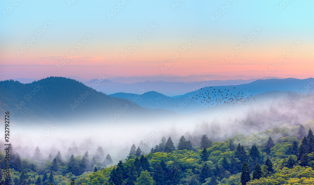 Silhouette of many birds flying over the forest - Beautiful landscape with cascade blue mountains at the morning - View of wilderness mountains during foggy weather