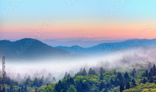 Silhouette of many birds flying over the forest - Beautiful landscape with cascade blue mountains at the morning - View of wilderness mountains during foggy weather photo