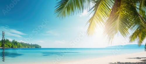 Serene Palm Tree Standing Tall at Golden Beach with Crystal Clear Blue Waters