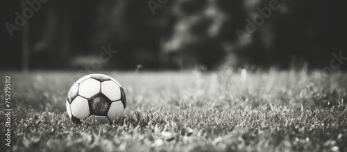 Vibrant Soccer Ball Nestled in Fresh Green Grass Under Sunny Sky Day