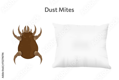 Brown dust mite on pillow vector illustration. Microscopic dangerous insect