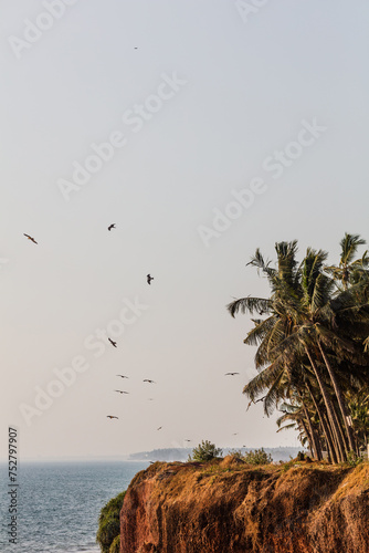 Scenic view on cliff with palm trees in Varkala, Kerala, India. photo