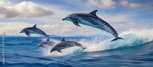 Pair of Joyful Dolphins Leaping Playfully Above Sparkling Water