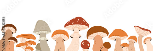 Autumn mushrooms border decoration. Fall fungi, horizontal decor. Forest food plants, fungus, boletus, banner design. Modern botanical decorative flat vector illustration isolated on white background