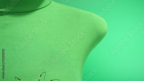 下から上へまっすぐ歩くジョロウグモ