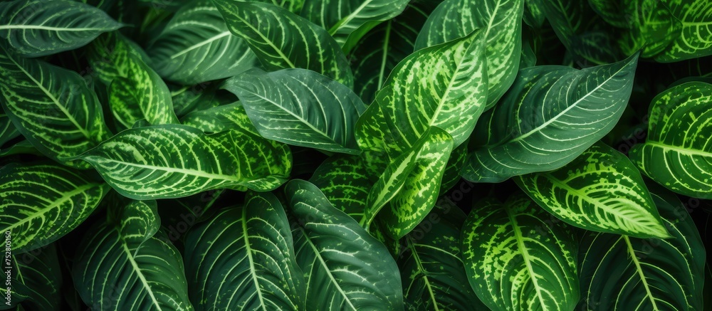 Vibrant Macroscape: Mesmerizing Details of Lush Green Plant Life Up Close Vibrant Macroscape: Mesmerizing Details of Lush Green Plant Life Up Close