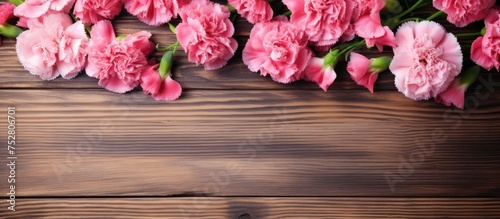 Vibrant Pink Flowers Blossoming Beautifully on a Rustic Wooden Background © Ilgun