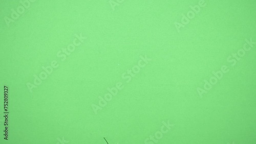 下から現れ途中で動きの止まる蜘蛛