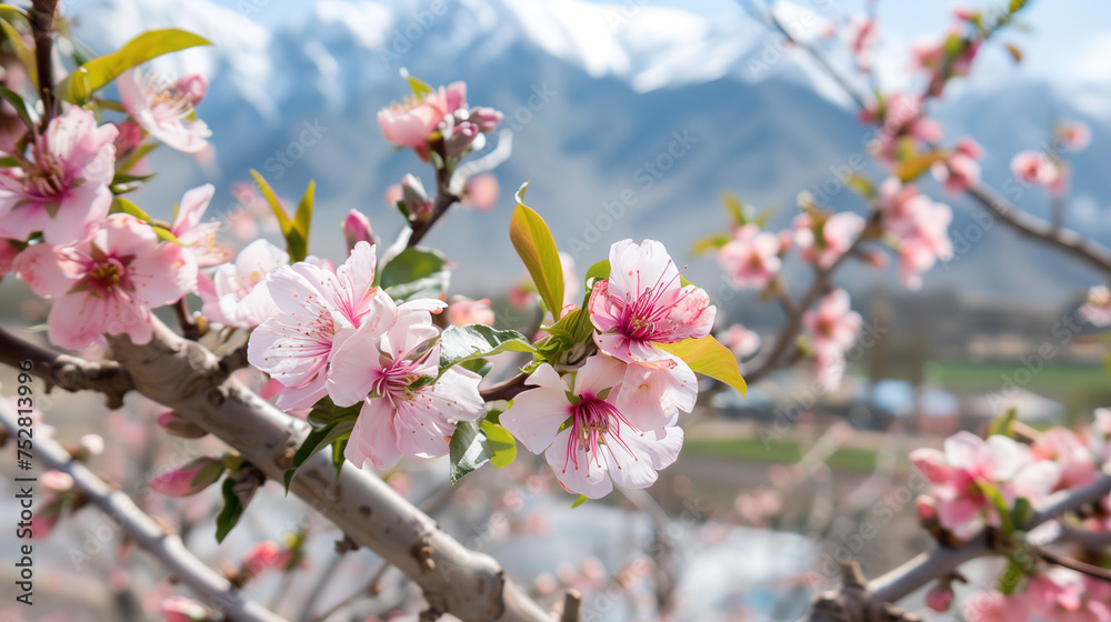 Peach blossom scenery in Linzhi, Tibet,China,created with Generative AI tecnology. Peach blossom scenery in Linzhi, Tibet,China,created with Generative AI tecnology.