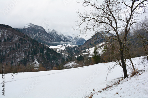 Deep winter snow in Val Pontebbana, north of Pontebba in Udine Province, Friuli-Venezia Giulia, North East Italy. Late February