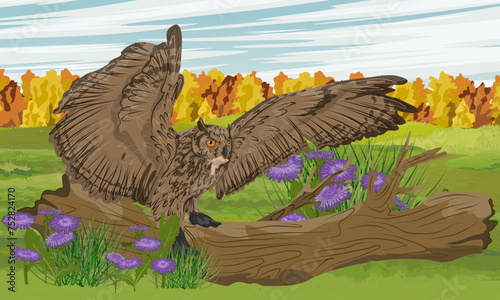 An eagle owl flies into a tree trunk lying on the grass. Wildlife in autumn. Realistic vector landscape
