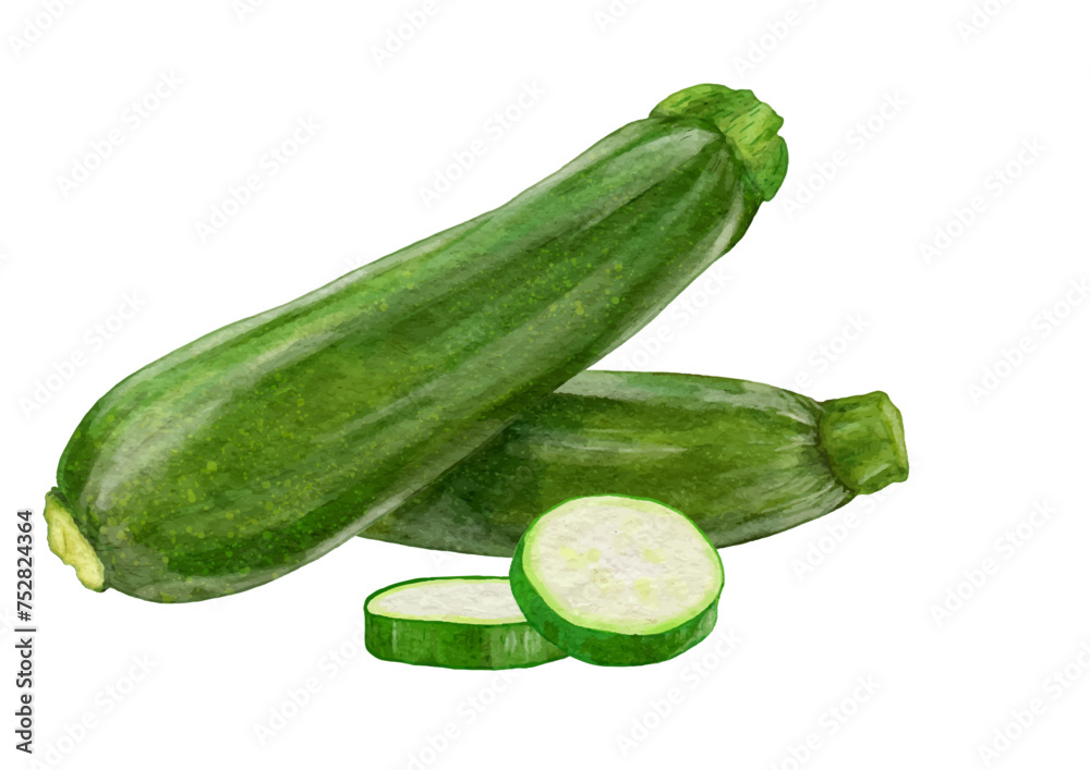 リアルでツヤツヤしたズッキーニ2本と輪切り2枚