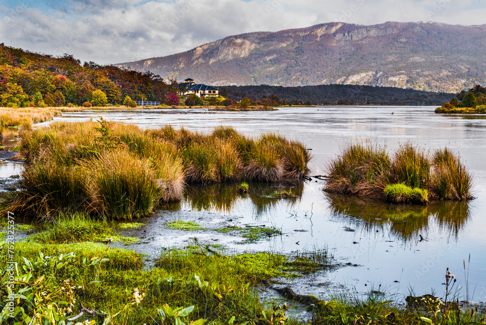 Tierra del Fuego National Park, Patagonia, Argentina