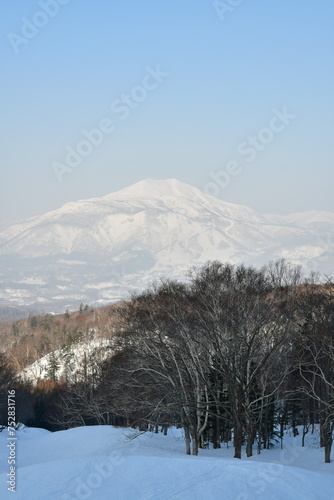 Mt Yotei Ascend in Winter Landscape Snow Trees Forest