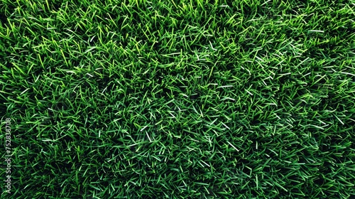 Long fresh green grass texture background view of grass garden Ideal concept used for making green flooring, lawn for training football pitch, Grass Golf Courses green lawn pattern textured background