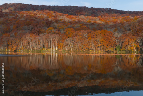 日本 青森県十和田市奥瀬蔦野湯にある早朝の蔦沼の水鏡に映る紅葉