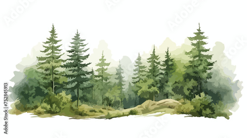 Watercolor forest trees vector illustration
