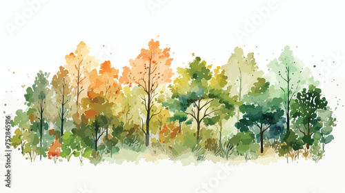 Fototapeta Naklejka Na Ścianę i Meble -  Watercolor forest trees vector illustration