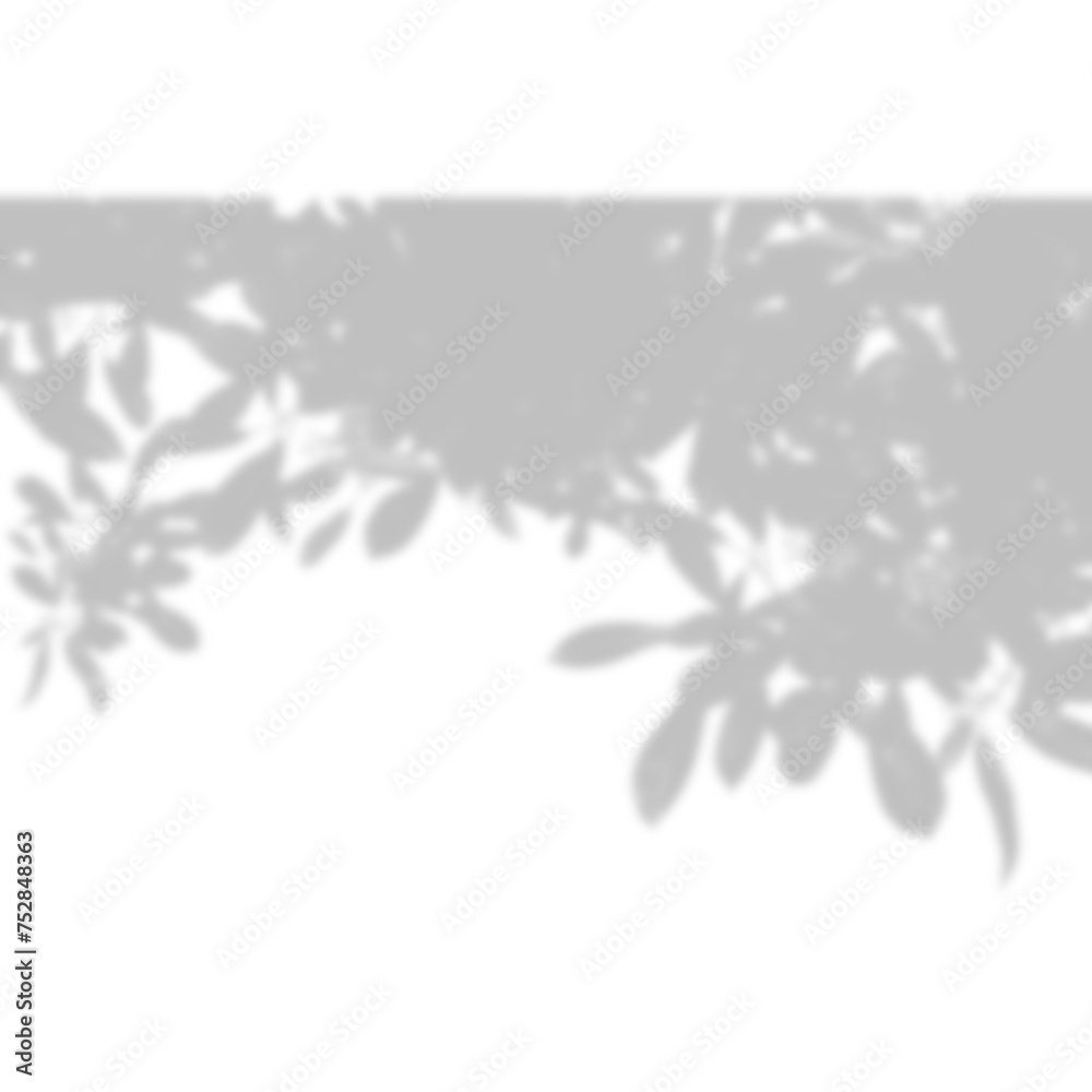 Tree leaves shadow, shadow of branches and leaves on white cement wall