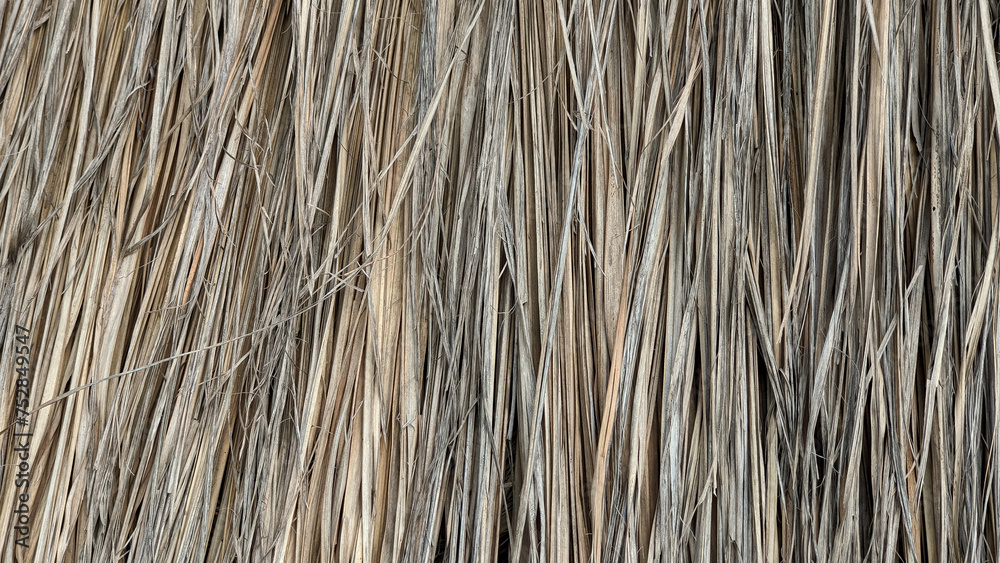 Close-up of textured thatched straw roof with natural beige and brown tones, showing intricate patterns and details. Close-up of textured thatched straw roof with natural beige and brown tones, showing intricate patterns and details.