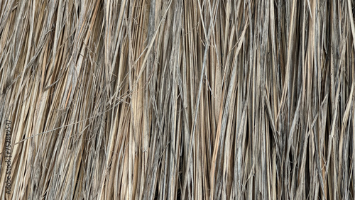 Close-up of textured thatched straw roof with natural beige and brown tones, showing intricate patterns and details.