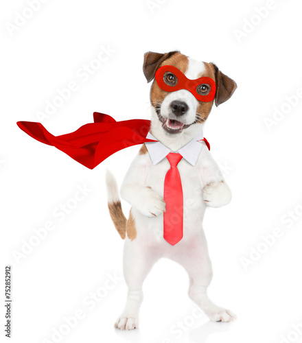 Funny jack russell terrier puppy wearing superhero costume and necktie looking at camera. Isolated on white background