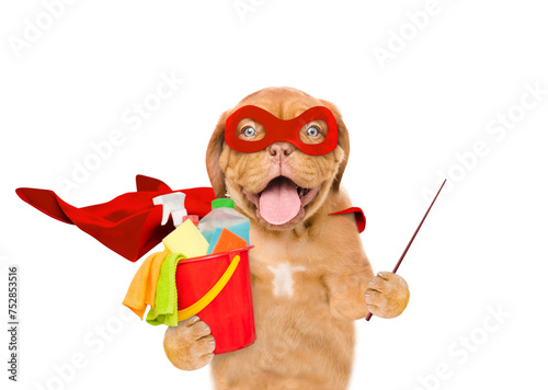 Funny Mastiff puppy wearing superhero costume holds bucket with washing fluids and points away on empty space. Isolated on white background © Ermolaev Alexandr