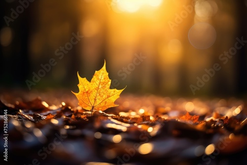 Autumn Vibes  Close-up of a vibrant autumn leaf with warm  golden bokeh lights filtering through the surrounding foliage.