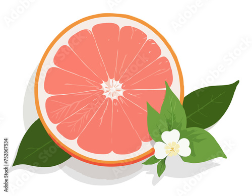 Isolated colored half of juicy pink grapefruit with white flower, green leaf and shadow on white background. Realistic
